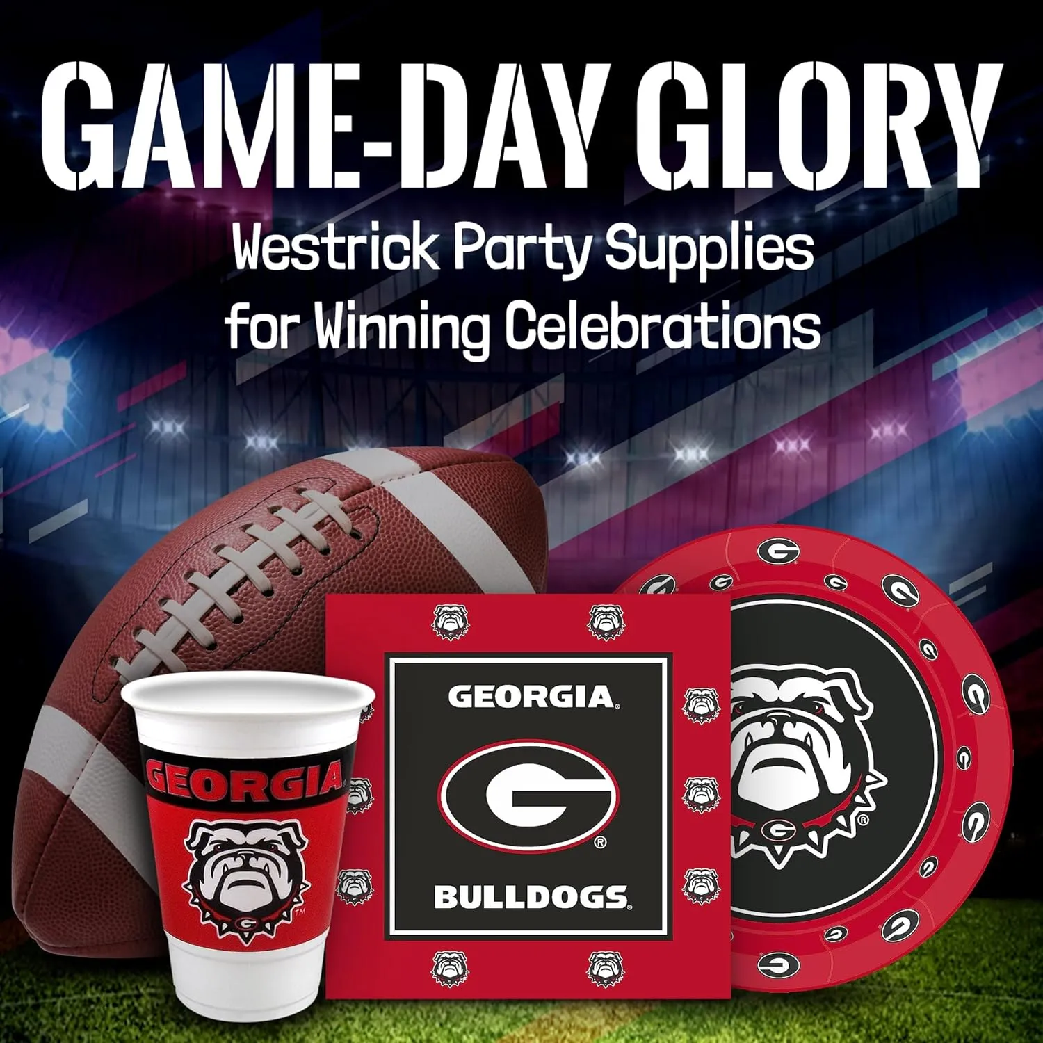 Wicsonsin Badgers Party Supplies 48 Piece Officially Licensed University Set: 16 oz. Plastic Beverage Cups, 9" Paper Plates, Luncheon Napkins, Complete Party Supplies for 16 Guests by Westrick